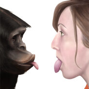 Je t'aime Bonobo